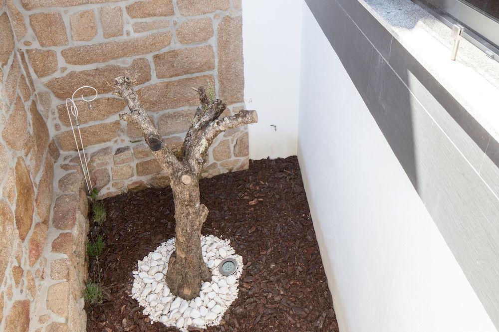 Casas Do Patio Country Houses & Nature Caldas da Felgueira Екстер'єр фото